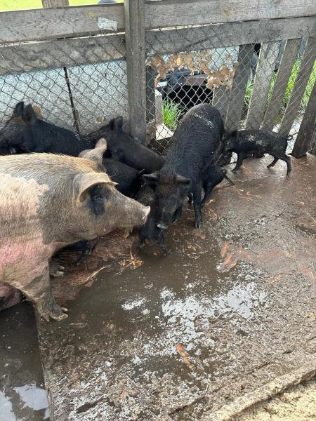  Commercial & Industrial Land Images 