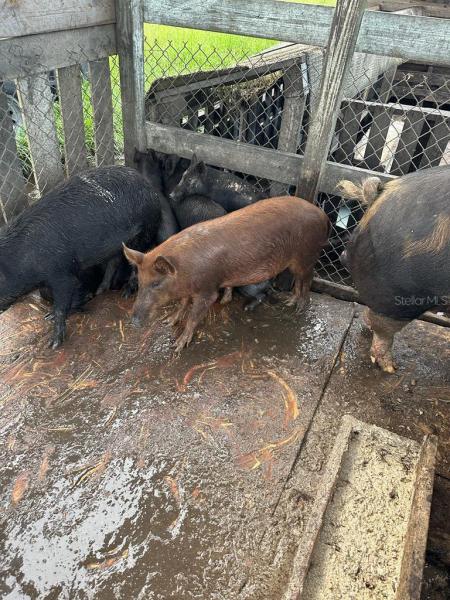  Commercial & Industrial Land Images 