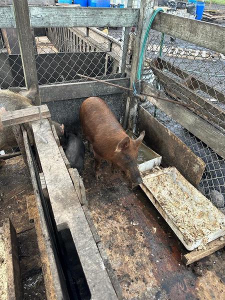  Commercial & Industrial Land Images 