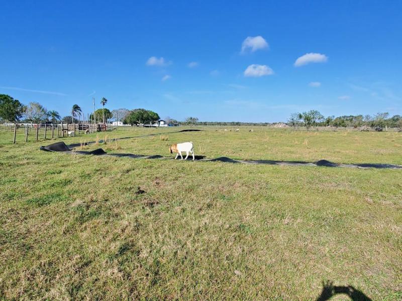  Commercial & Industrial Land Images 