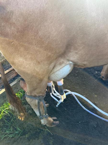  Commercial & Industrial Land Images 