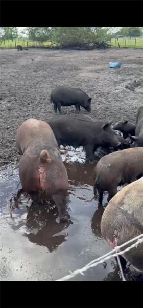  Commercial & Industrial Land Images 