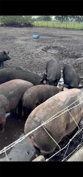  Commercial & Industrial Land Images 