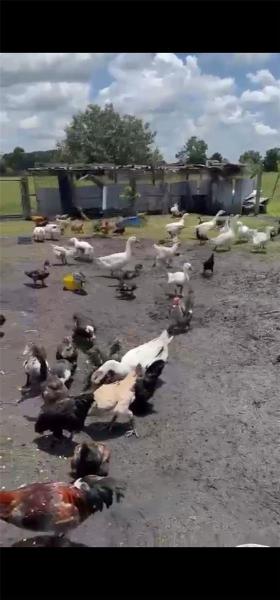  Commercial & Industrial Land Images 