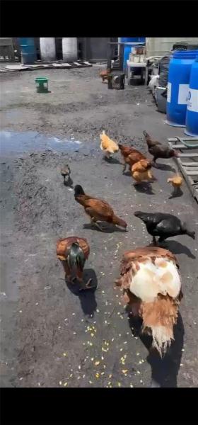  Commercial & Industrial Land Images 