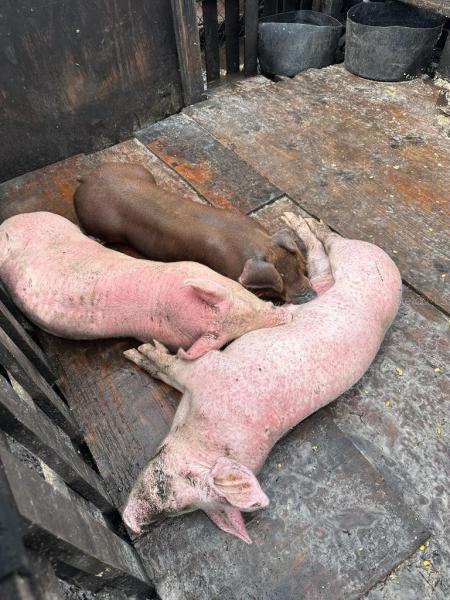  Commercial & Industrial Land Images 