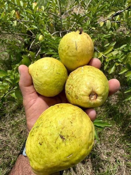  Commercial & Industrial Land Images 