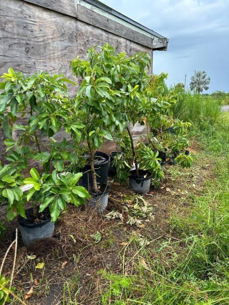  Commercial & Industrial Land Images 