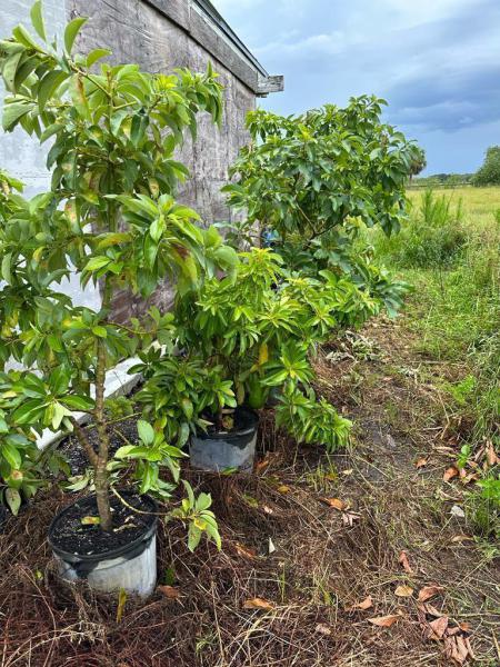  Commercial & Industrial Land Images 