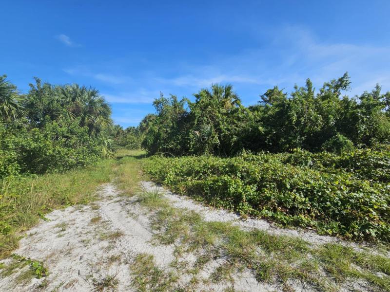 Duplex, Triplex and Fourplex Images