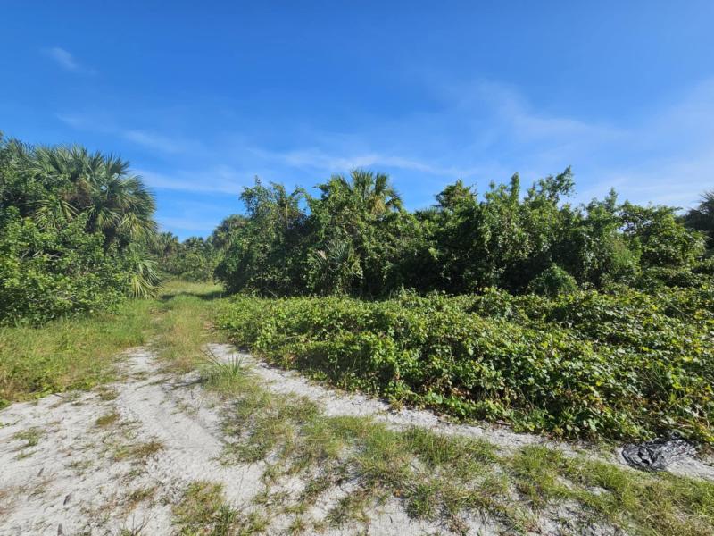 Duplex, Triplex and Fourplex Images