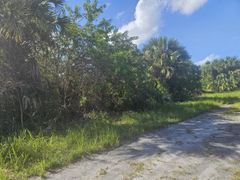 Duplex, Triplex and Fourplex Images