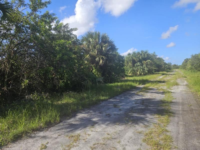 Duplex, Triplex and Fourplex Images