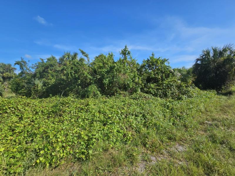 Duplex, Triplex and Fourplex Images