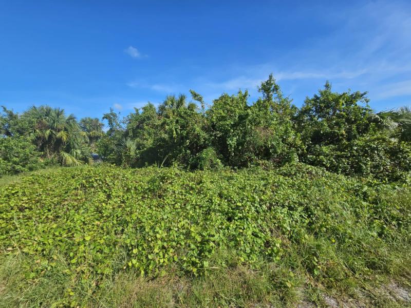 Duplex, Triplex and Fourplex Images