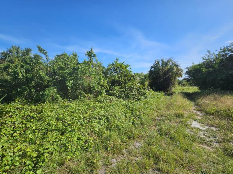 Duplex, Triplex and Fourplex Images