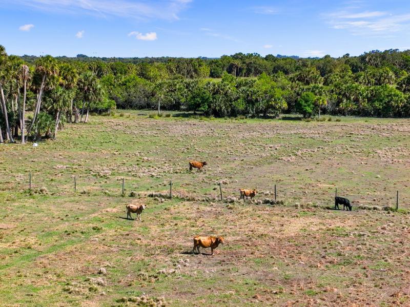  Commercial & Industrial Land Images 
