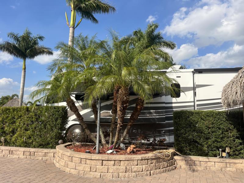 Duplex, Triplex and Fourplex Images