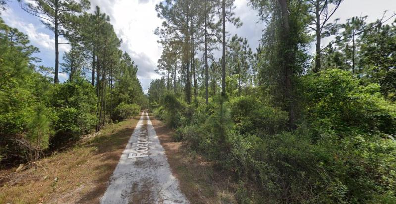 Duplex, Triplex and Fourplex Images