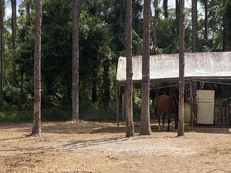  Commercial & Industrial Land Images 