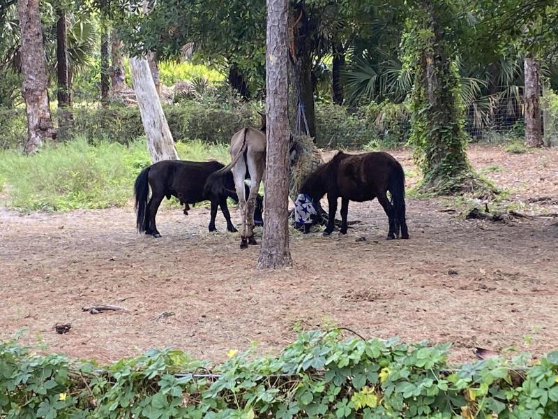  Commercial & Industrial Land Images 