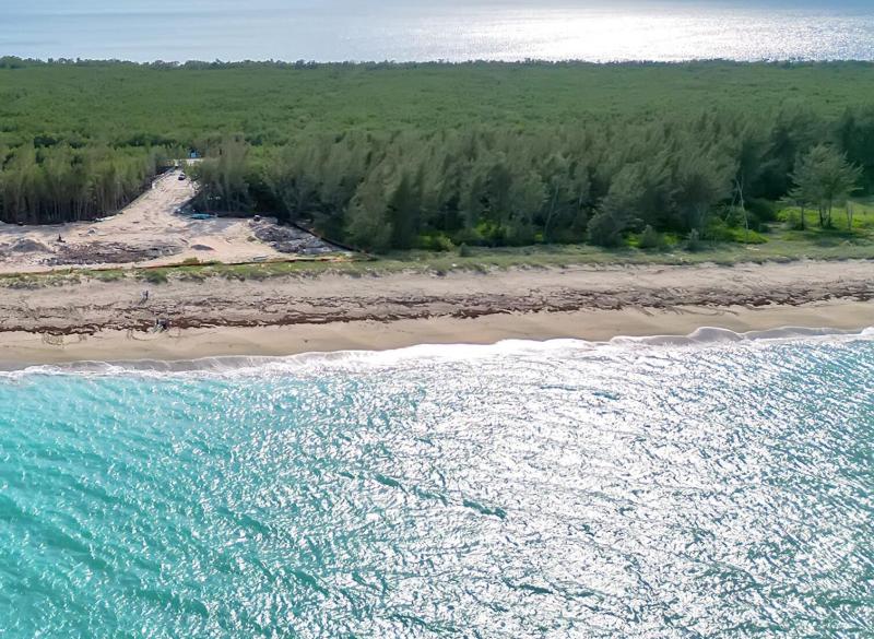 Duplex, Triplex and Fourplex Images