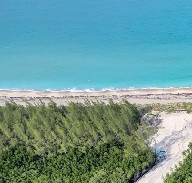 Duplex, Triplex and Fourplex Images