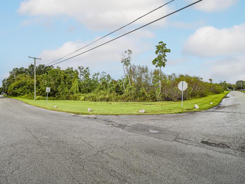 Duplex, Triplex and Fourplex Images