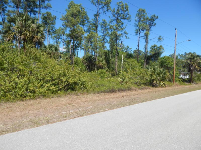 Duplex, Triplex and Fourplex Images