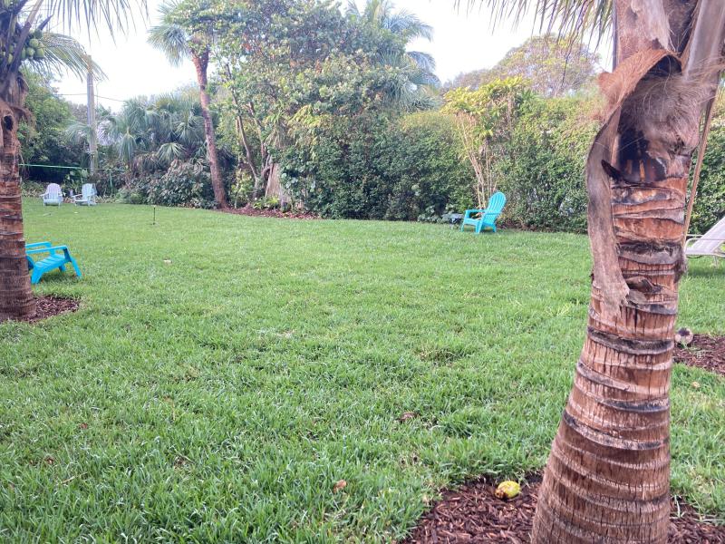 Duplex, Triplex and Fourplex Images