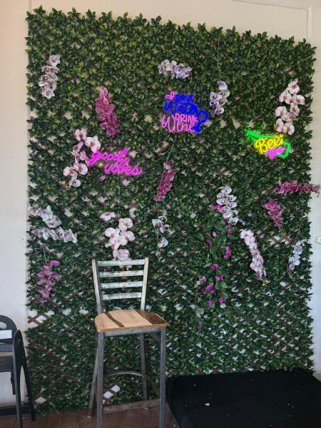 Business Opportunities Photos