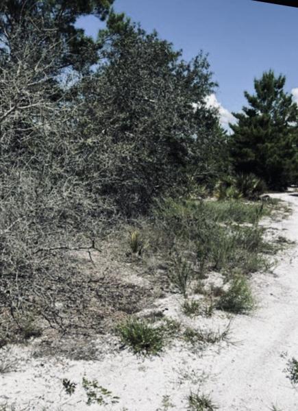  Commercial & Industrial Land Images 