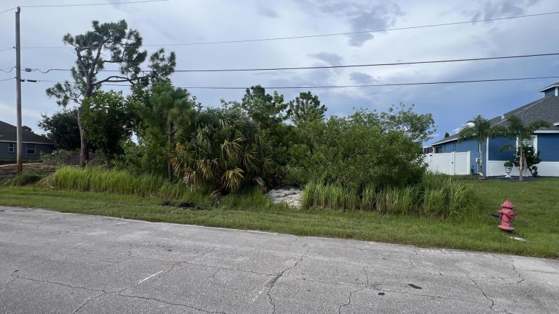 Duplex, Triplex and Fourplex Images