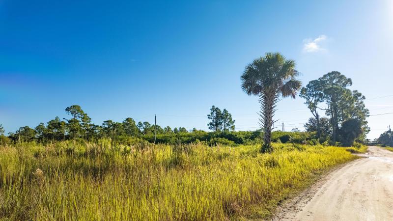 Duplex, Triplex and Fourplex Images