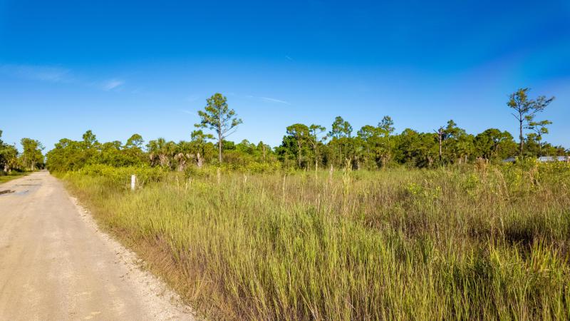 Duplex, Triplex and Fourplex Images