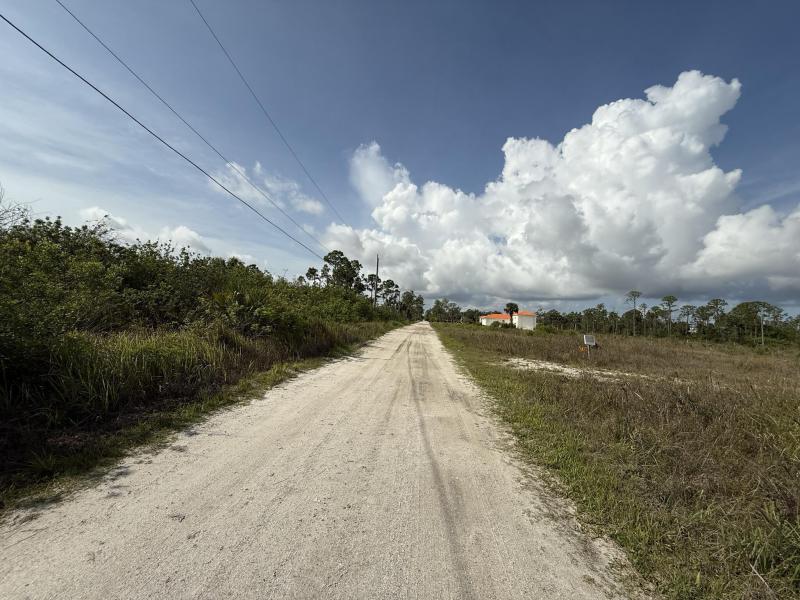 Duplex, Triplex and Fourplex Images