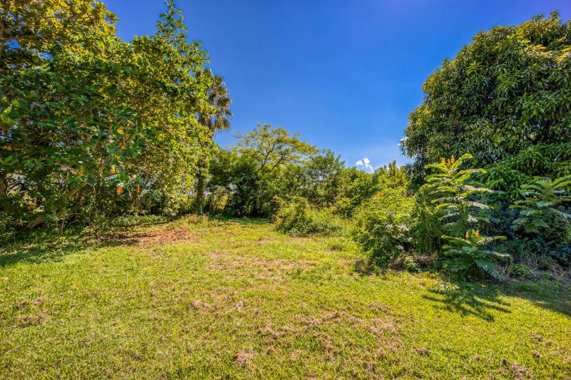 Duplex, Triplex and Fourplex Images