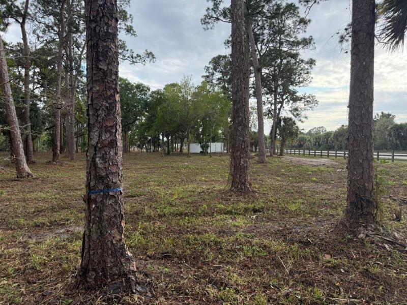  Commercial & Industrial Land Images 