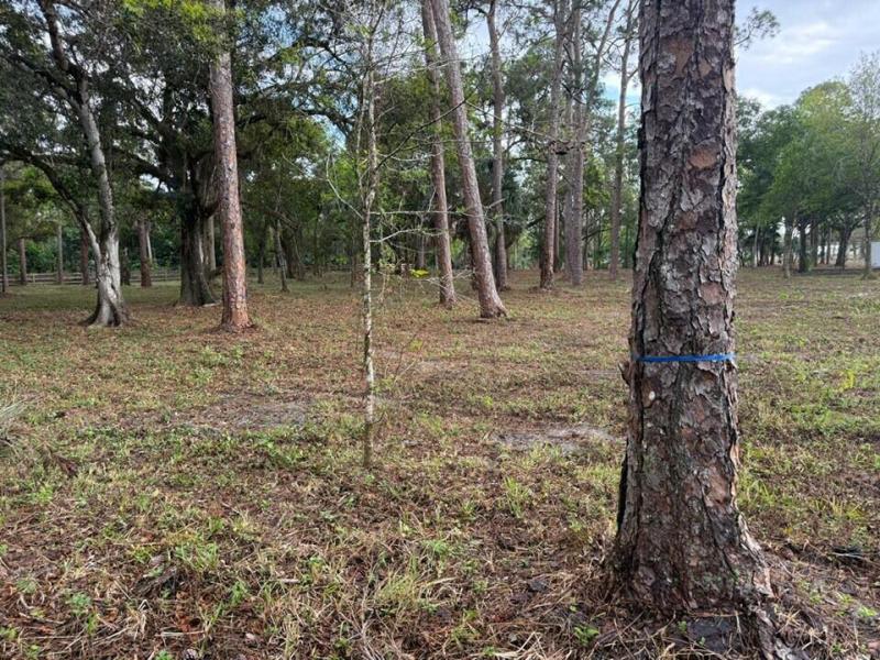  Commercial & Industrial Land Images 