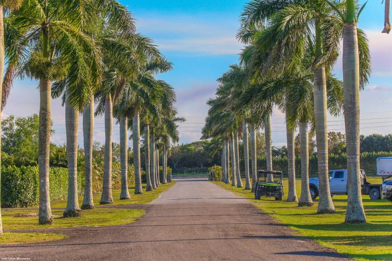  Single Family Homes Photo 2:  Wellington,  FL 33449