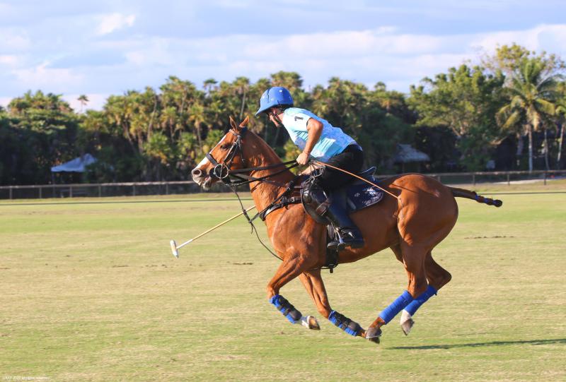  Single Family Homes Photo 53:  Wellington,  FL 33449