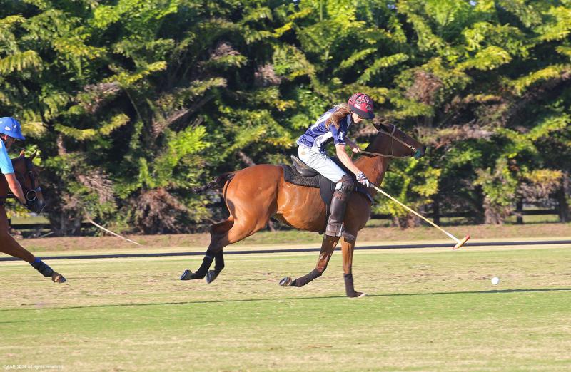  Single Family Homes Photo 54:  Wellington,  FL 33449