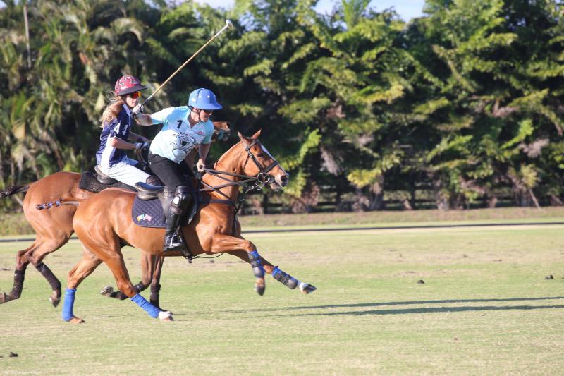  Single Family Homes Photo 55:  Wellington,  FL 33449