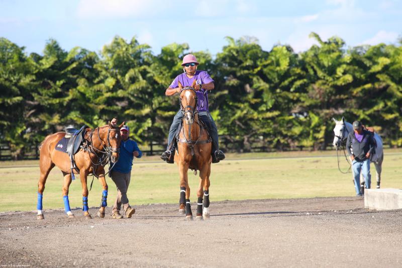  Single Family Homes Photo 56:  Wellington,  FL 33449