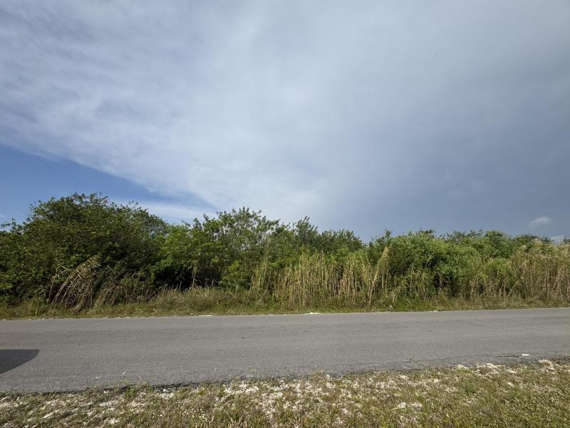 Duplex, Triplex and Fourplex Images