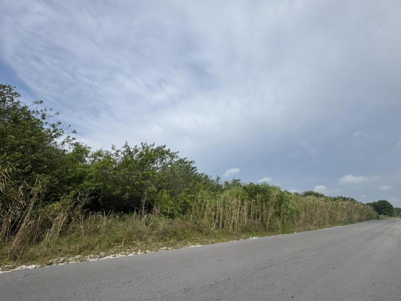 Duplex, Triplex and Fourplex Images