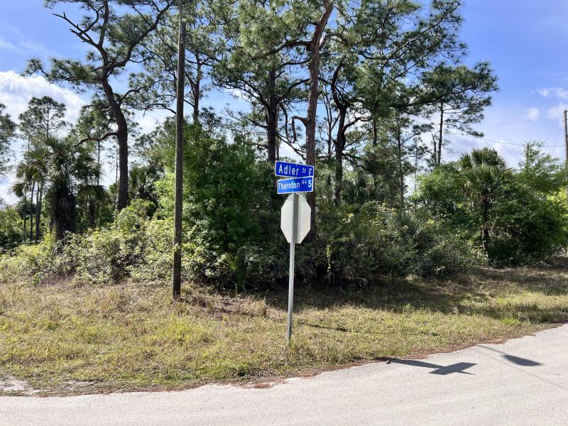 Duplex, Triplex and Fourplex Images