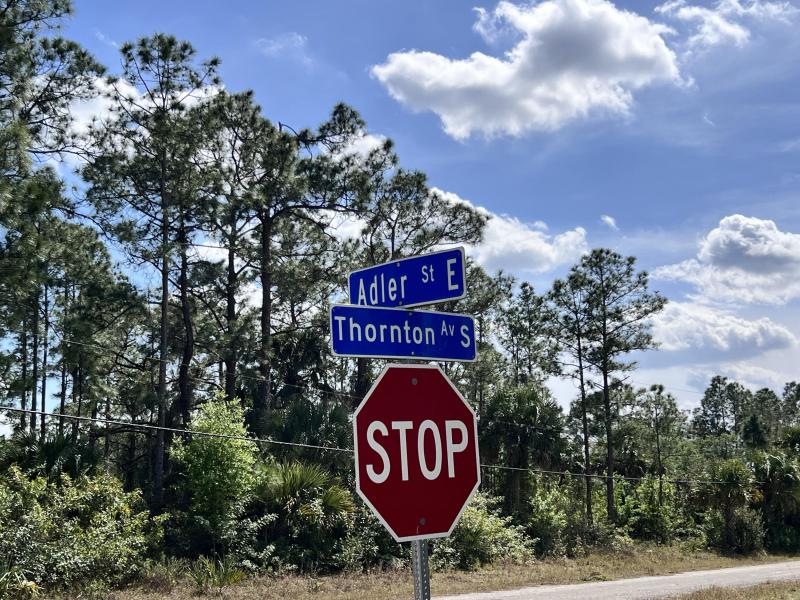 Duplex, Triplex and Fourplex Images