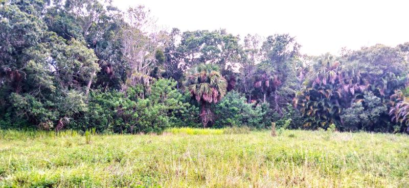  Commercial & Industrial Land Images 