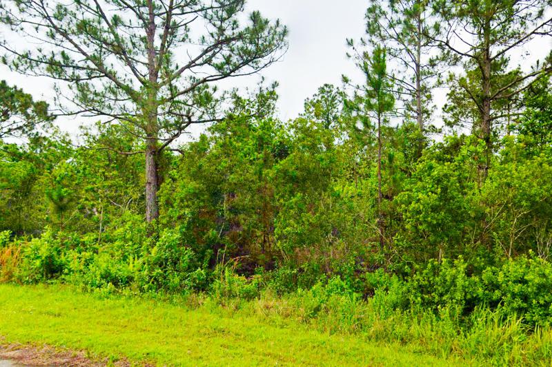  Commercial & Industrial Land Images 